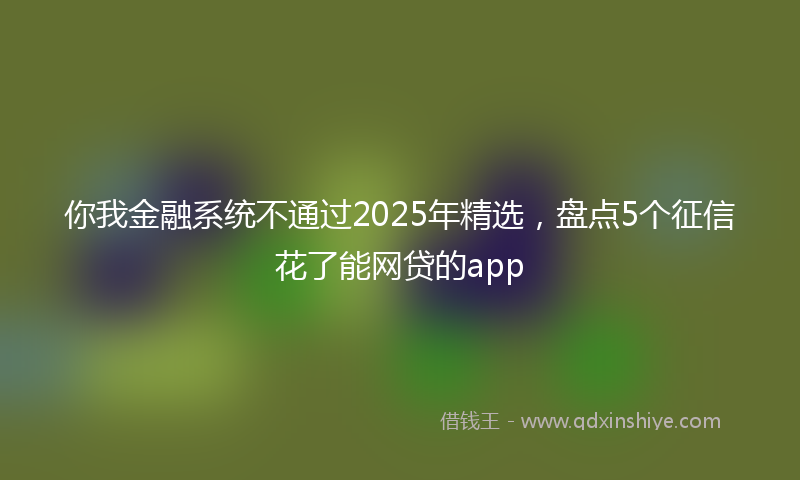 你我金融系统不通过2025年精选，盘点5个征信花了能网贷的app