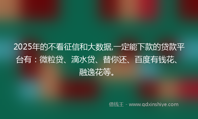 2025年的不看征信和大数据,一定能下款的贷款平台有：微粒贷、滴水贷、替你还、百度有钱花、融逸花等。