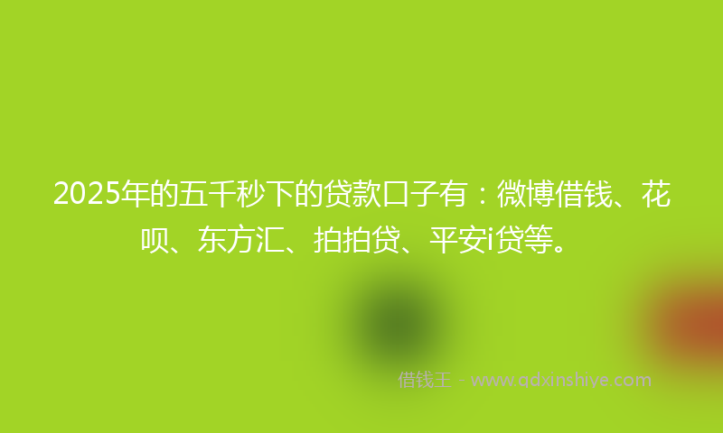2025年的五千秒下的贷款口子有：微博借钱、花呗、东方汇、拍拍贷、平安i贷等。