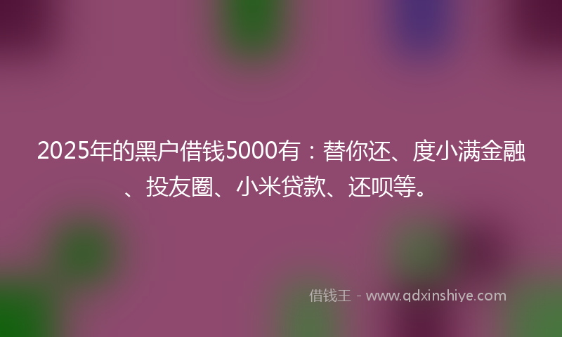 2025年的黑户借钱5000有：替你还、度小满金融、投友圈、小米贷款、还呗等。