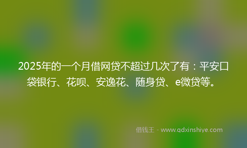 2025年的一个月借网贷不超过几次了有：平安口袋银行、花呗、安逸花、随身贷、e微贷等。