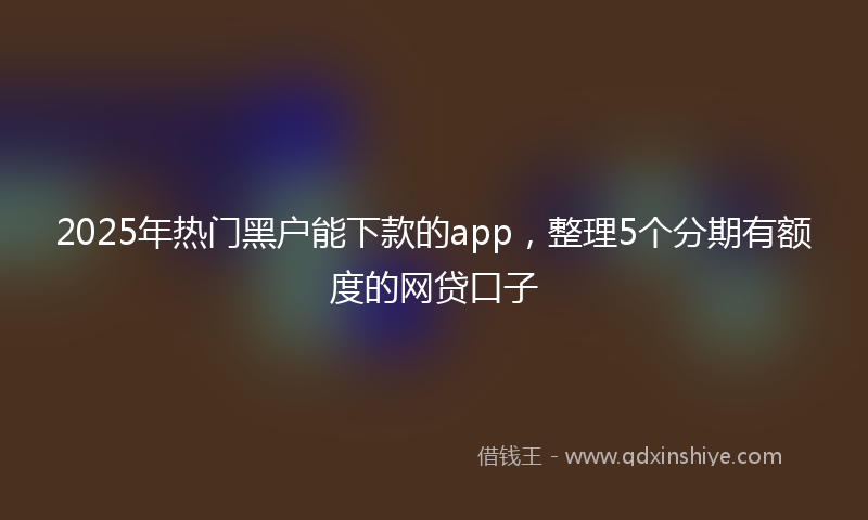 2025年热门黑户能下款的app，整理5个分期有额度的网贷口子