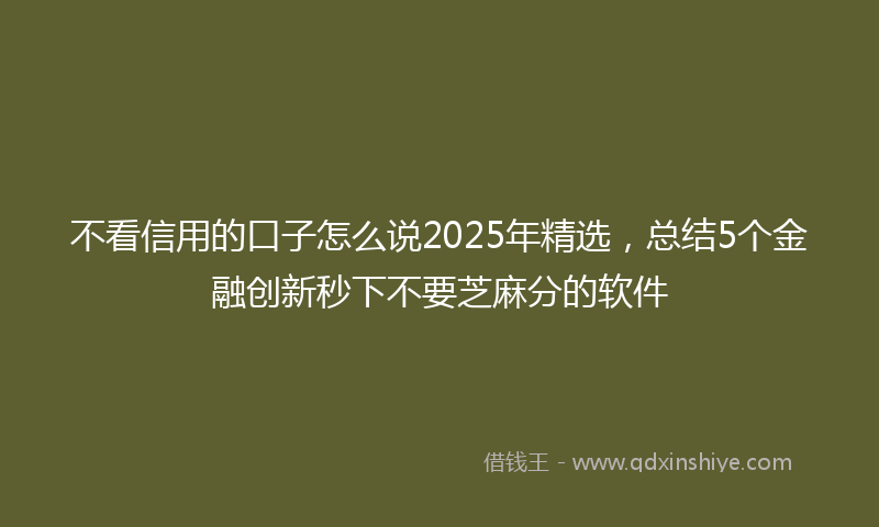 不看信用的口子怎么说2025年精选，总结5个金融创新秒下不要芝麻分的软件