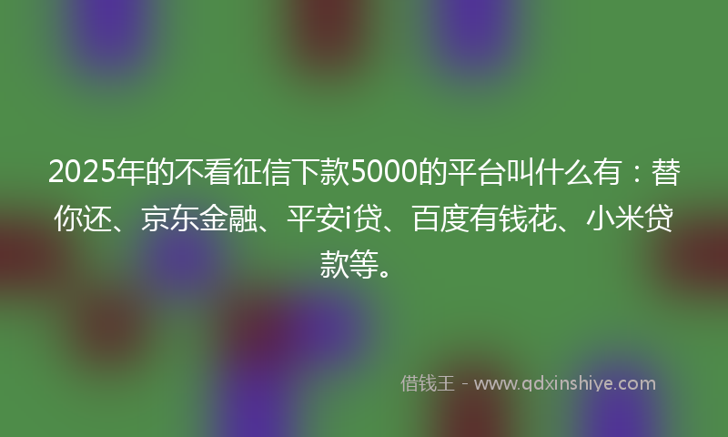 2025年的不看征信下款5000的平台叫什么有：替你还、京东金融、平安i贷、百度有钱花、小米贷款等。