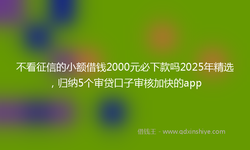 不看征信的小额借钱2000元必下款吗2025年精选，归纳5个审贷口子审核加快的app