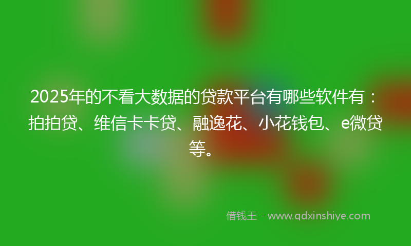 2025年的不看大数据的贷款平台有哪些软件有：拍拍贷、维信卡卡贷、融逸花、小花钱包、e微贷等。