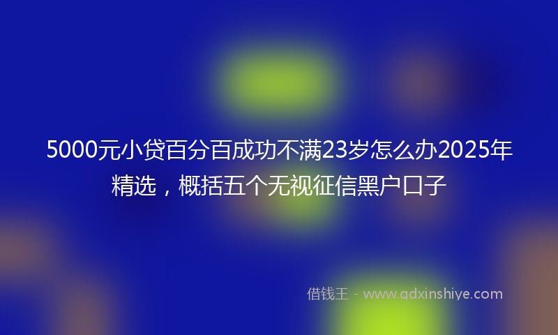 5000元小贷百分百成功不满23岁怎么办2025年精选，概括五个无视征信黑户口子