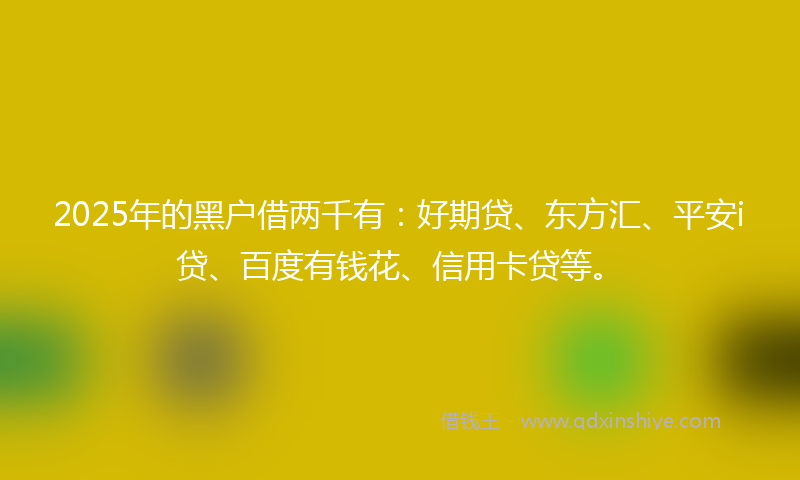 2025年的黑户借两千有：好期贷、东方汇、平安i贷、百度有钱花、信用卡贷等。