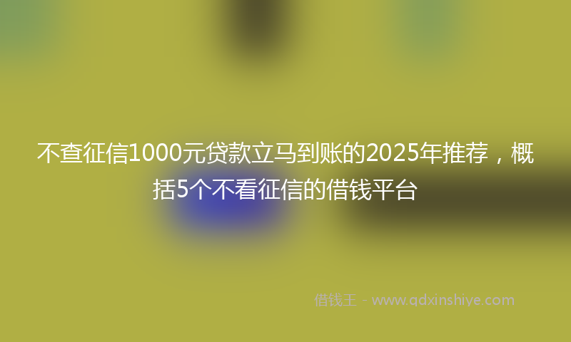 不查征信1000元贷款立马到账的2025年推荐，概括5个不看征信的借钱平台