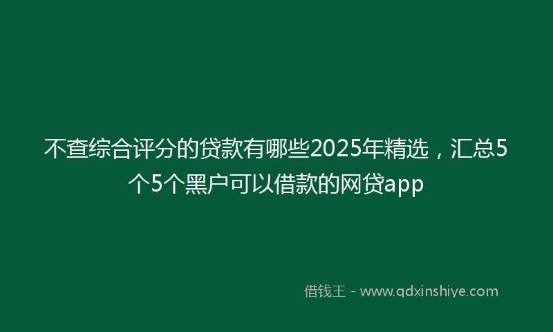 不查综合评分的贷款有哪些2025年精选，汇总5个5个黑户可以借款的网贷app
