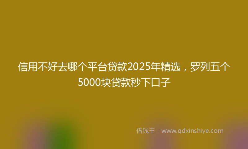 信用不好去哪个平台贷款2025年精选，罗列五个5000块贷款秒下口子