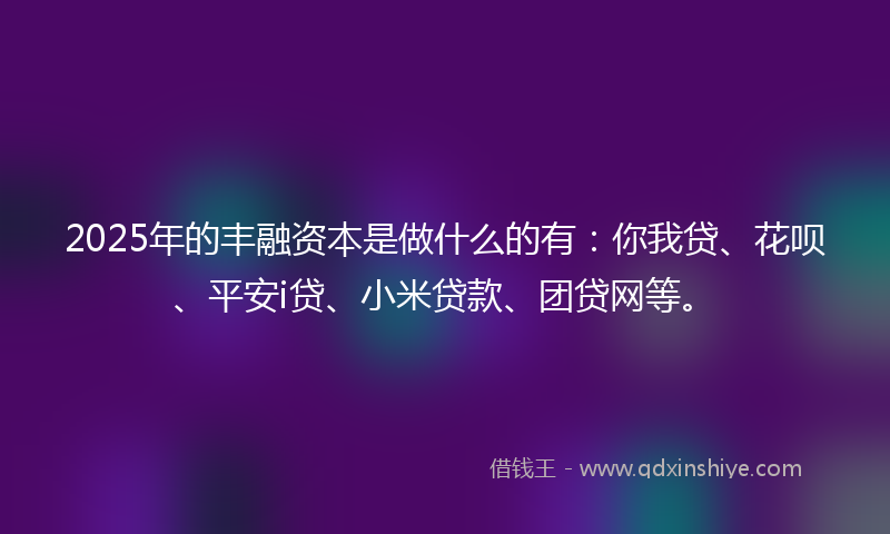 2025年的丰融资本是做什么的有：你我贷、花呗、平安i贷、小米贷款、团贷网等。