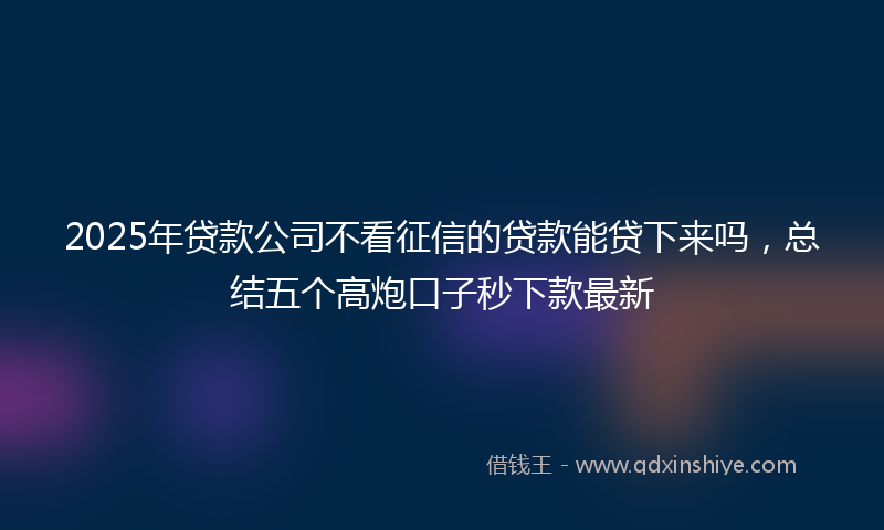 2025年贷款公司不看征信的贷款能贷下来吗，总结五个高炮口子秒下款最新