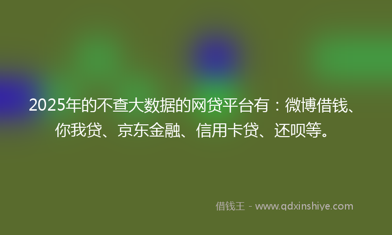 2025年的不查大数据的网贷平台有：微博借钱、你我贷、京东金融、信用卡贷、还呗等。