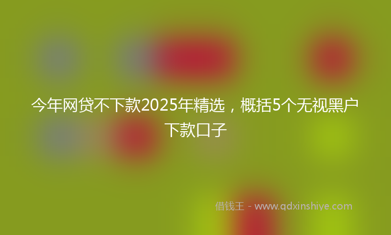 今年网贷不下款2025年精选，概括5个无视黑户下款口子