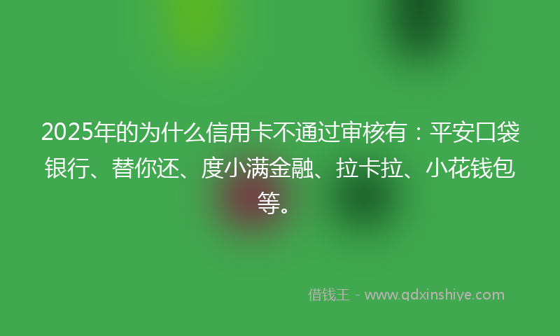 2025年的为什么信用卡不通过审核有：平安口袋银行、替你还、度小满金融、拉卡拉、小花钱包等。