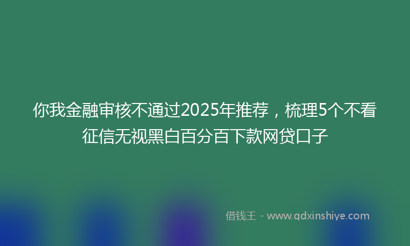 你我金融审核不通过2025年推荐，梳理5个不看征信无视黑白百分百下款网贷口子
