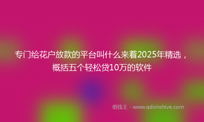 专门给花户放款的平台叫什么来着2025年精选，概括五个轻松贷10万的软件