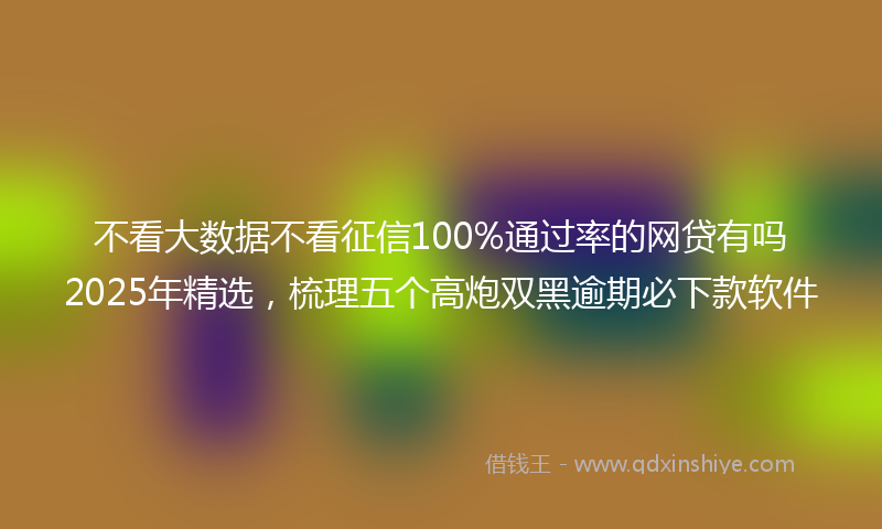 不看大数据不看征信100%通过率的网贷有吗2025年精选，梳理五个高炮双黑逾期必下款软件