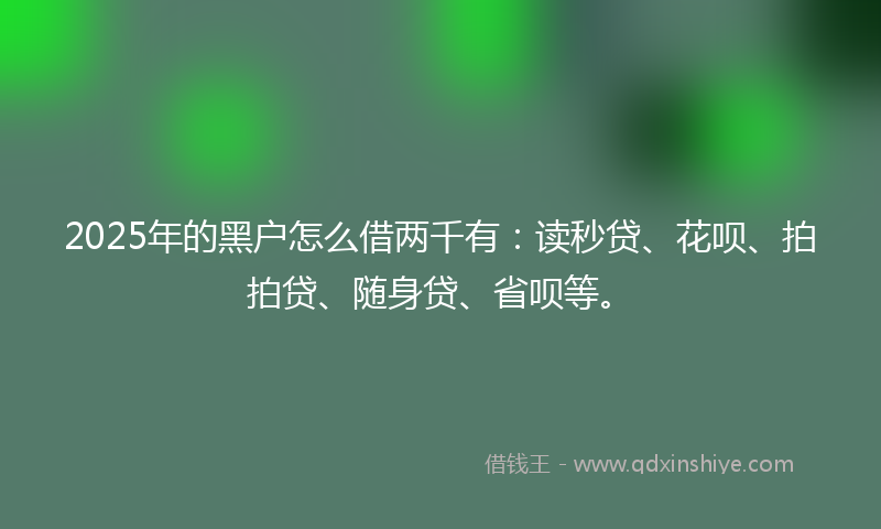 2025年的黑户怎么借两千有：读秒贷、花呗、拍拍贷、随身贷、省呗等。