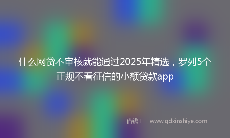 什么网贷不审核就能通过2025年精选，罗列5个正规不看征信的小额贷款app