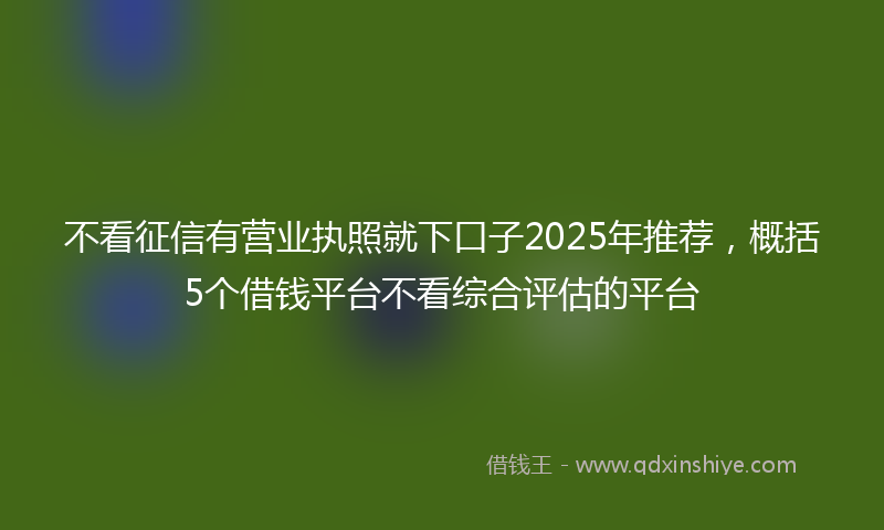 不看征信有营业执照就下口子2025年推荐，概括5个借钱平台不看综合评估的平台