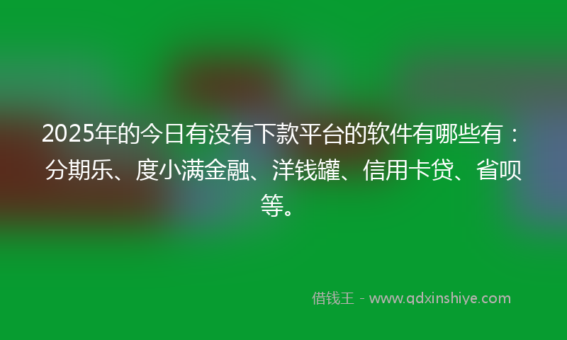 2025年的今日有没有下款平台的软件有哪些有：分期乐、度小满金融、洋钱罐、信用卡贷、省呗等。