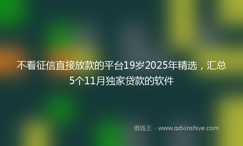 不看征信直接放款的平台19岁2025年精选，汇总5个11月独家贷款的软件