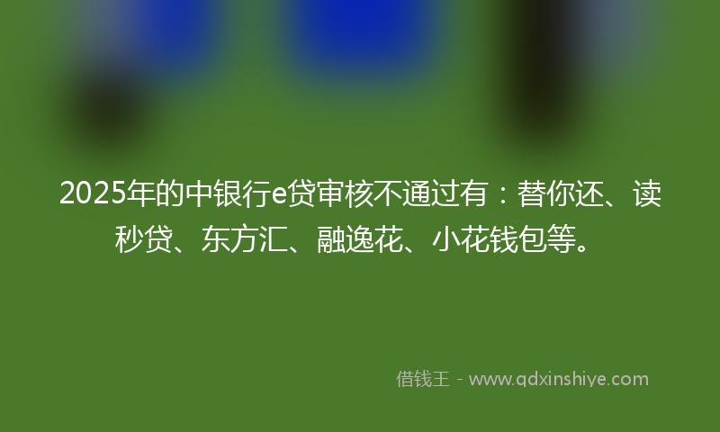 2025年的中银行e贷审核不通过有：替你还、读秒贷、东方汇、融逸花、小花钱包等。