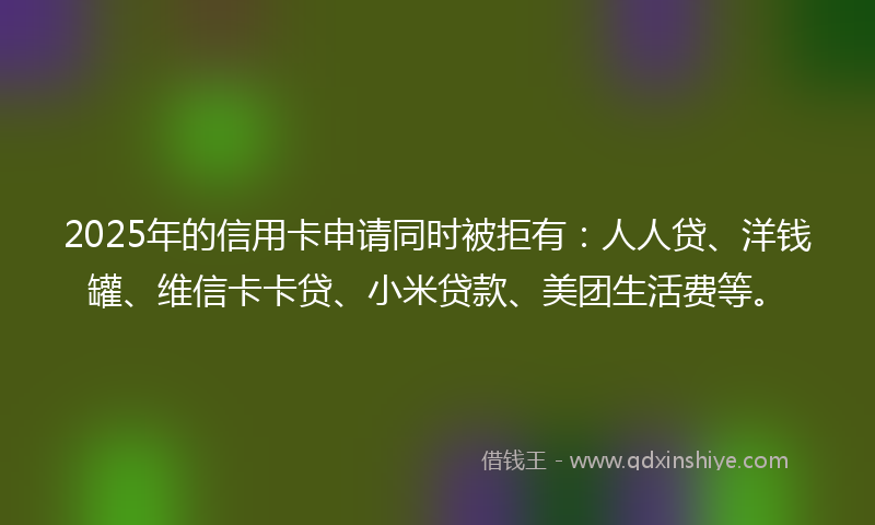 2025年的信用卡申请同时被拒有:人人贷、洋钱罐、维信卡卡贷、小米贷款、美团生活费等。