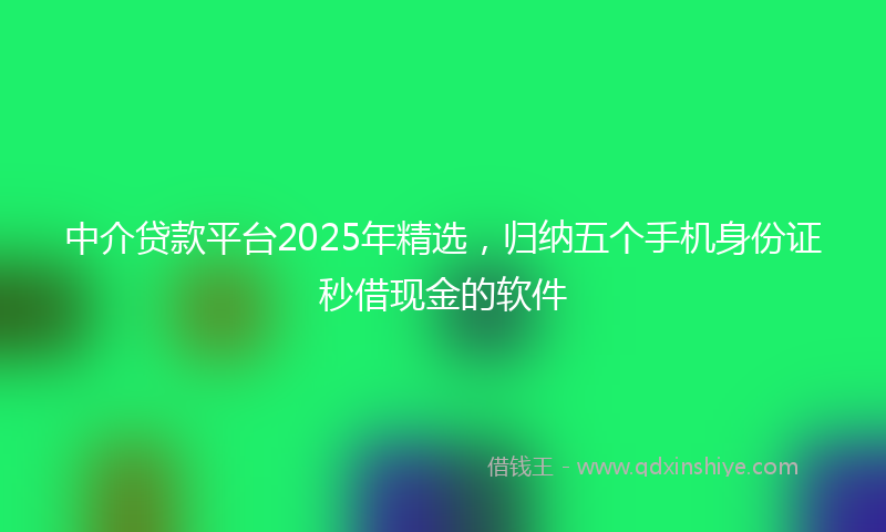 中介贷款平台2025年精选，归纳五个手机身份证秒借现金的软件