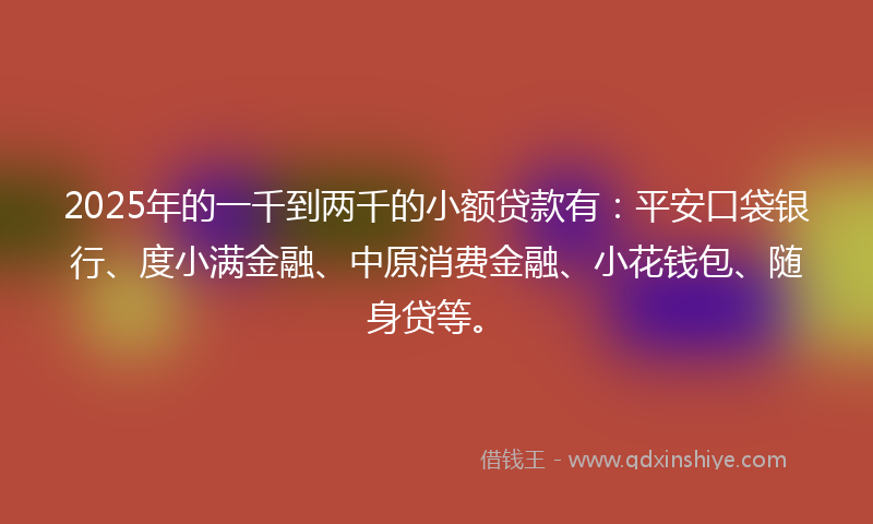 2025年的一千到两千的小额贷款有：平安口袋银行、度小满金融、中原消费金融、小花钱包、随身贷等。