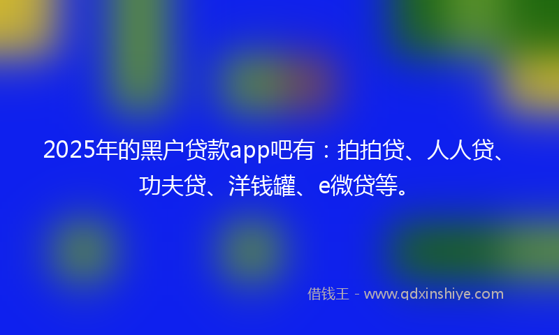 2025年的黑户贷款app吧有：拍拍贷、人人贷、功夫贷、洋钱罐、e微贷等。