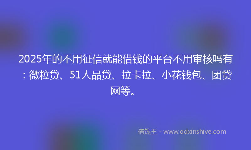 2025年的不用征信就能借钱的平台不用审核吗有：微粒贷、51人品贷、拉卡拉、小花钱包、团贷网等。
