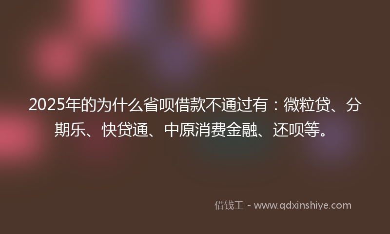 2025年的为什么省呗借款不通过有：微粒贷、分期乐、快贷通、中原消费金融、还呗等。