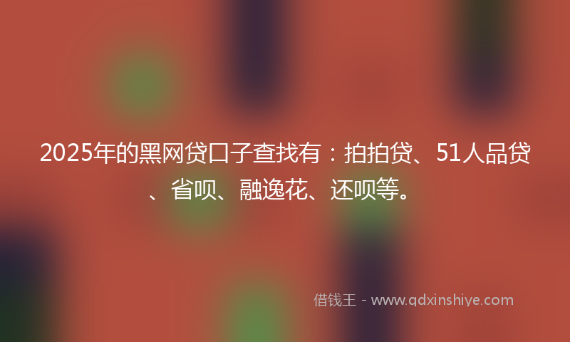 2025年的黑网贷口子查找有：拍拍贷、51人品贷、省呗、融逸花、还呗等。
