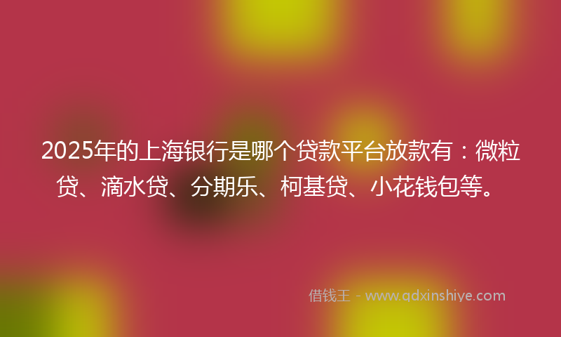 2025年的上海银行是哪个贷款平台放款有：微粒贷、滴水贷、分期乐、柯基贷、小花钱包等。
