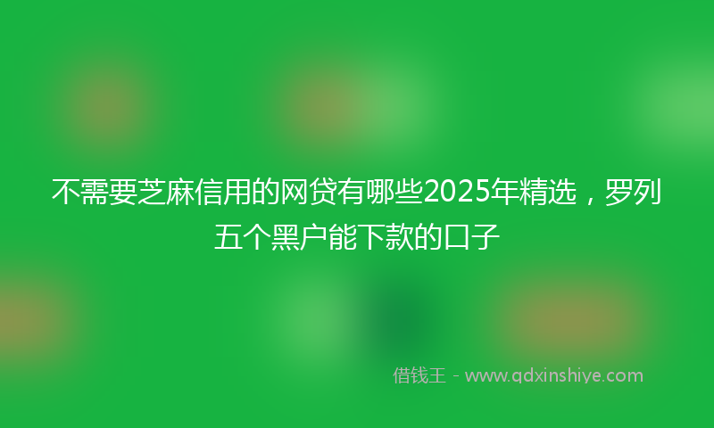 不需要芝麻信用的网贷有哪些2025年精选，罗列五个黑户能下款的口子