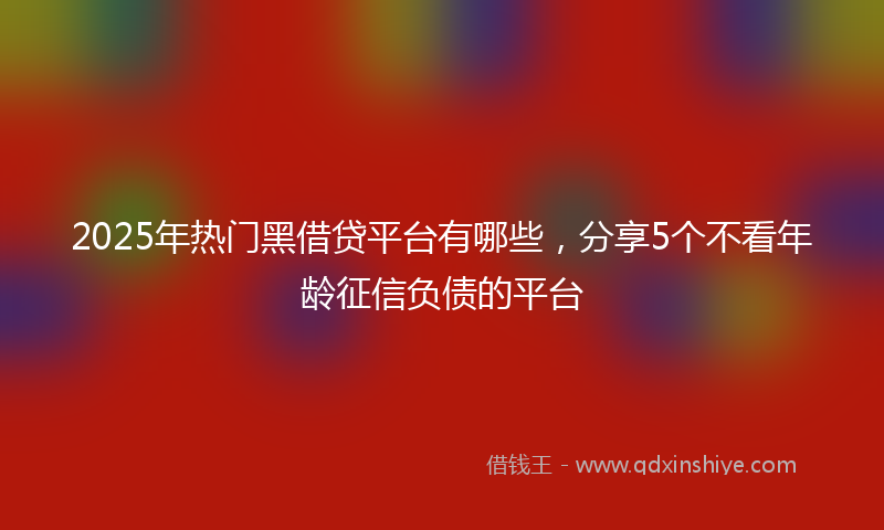 2025年热门黑借贷平台有哪些，分享5个不看年龄征信负债的平台
