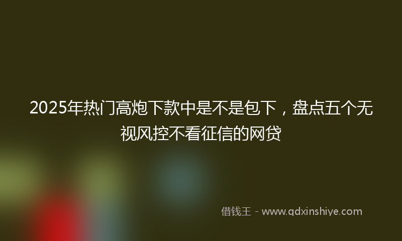 2025年热门高炮下款中是不是包下，盘点五个无视风控不看征信的网贷