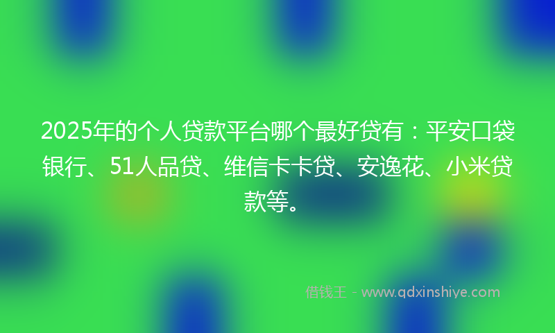 2025年的个人贷款平台哪个最好贷有：平安口袋银行、51人品贷、维信卡卡贷、安逸花、小米贷款等。