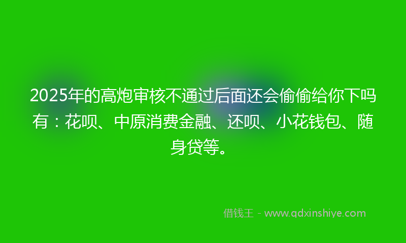 2025年的高炮审核不通过后面还会偷偷给你下吗有：花呗、中原消费金融、还呗、小花钱包、随身贷等。