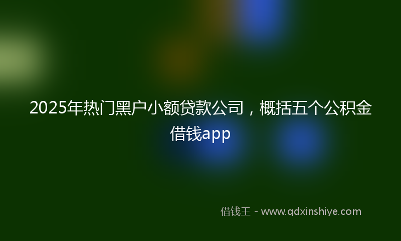 2025年热门黑户小额贷款公司，概括五个公积金借钱app