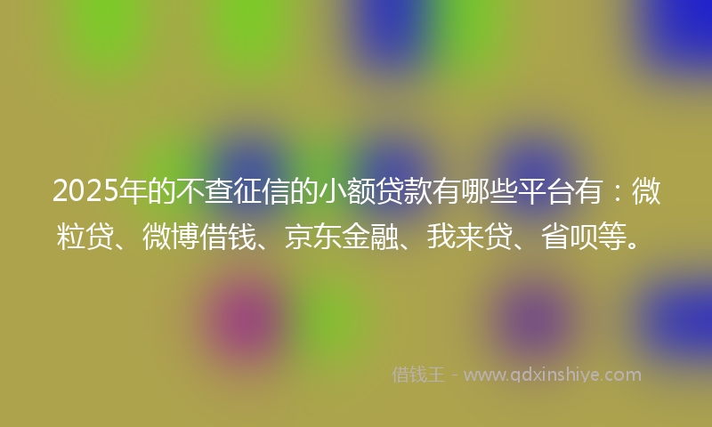 2025年的不查征信的小额贷款有哪些平台有：微粒贷、微博借钱、京东金融、我来贷、省呗等。