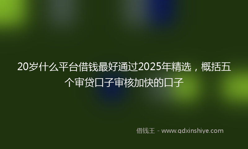 20岁什么平台借钱最好通过2025年精选，概括五个审贷口子审核加快的口子
