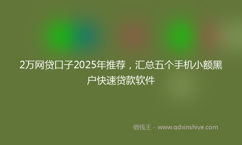 2万网贷口子2025年推荐，汇总五个手机小额黑户快速贷款软件
