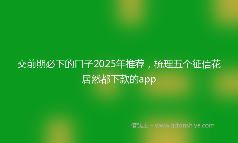 交前期必下的口子2025年推荐，梳理五个征信花居然都下款的app