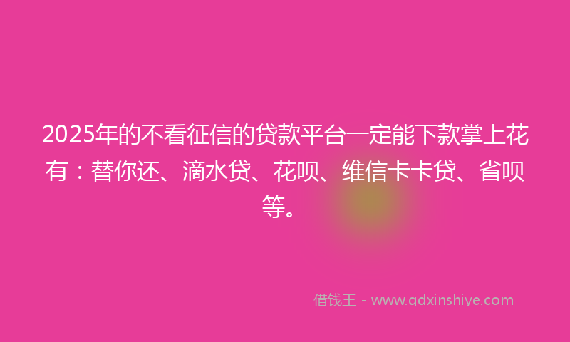 2025年的不看征信的贷款平台一定能下款掌上花有：替你还、滴水贷、花呗、维信卡卡贷、省呗等。
