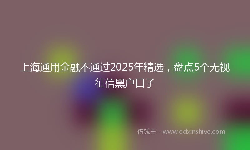 上海通用金融不通过2025年精选，盘点5个无视征信黑户口子