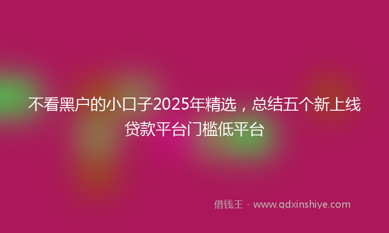 不看黑户的小口子2025年精选，总结五个新上线贷款平台门槛低平台